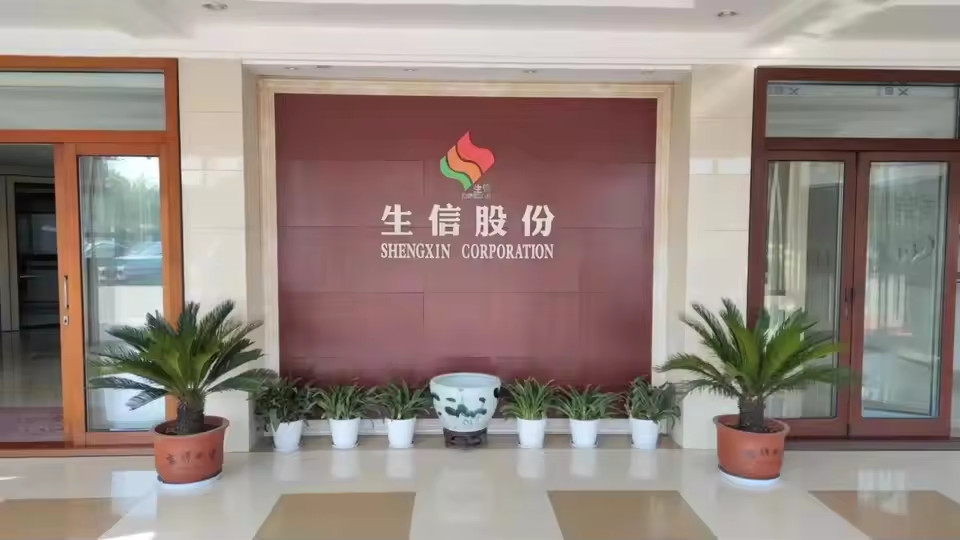 Китай ANHUI SHENGXIN  CORPORATION LIMITED Профиль компании